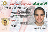 Driver License